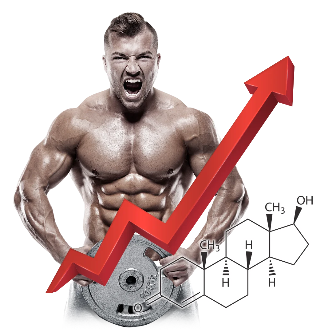 VITAMIN T - Primus Nutritions