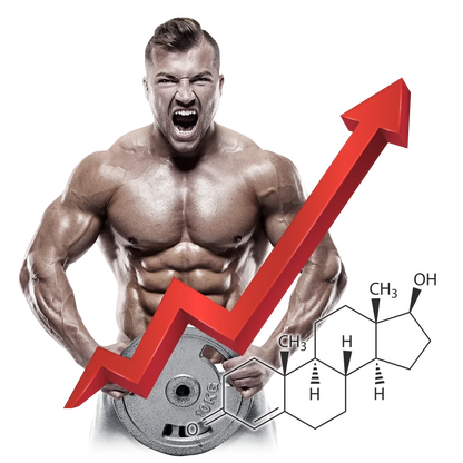 VITAMIN T - Primus Nutritions