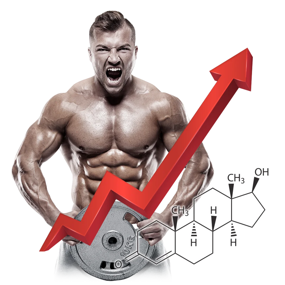 VITAMIN T - Primus Nutritions
