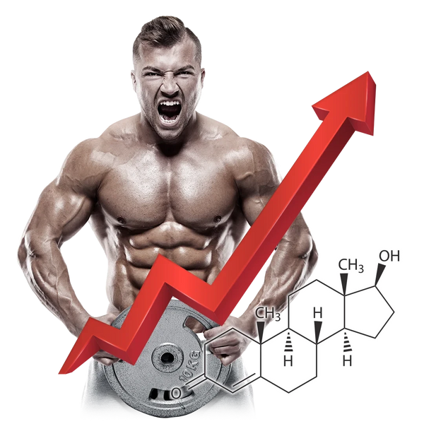 VITAMIN T - Primus Nutritions