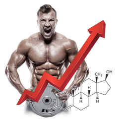 VITAMIN T - Primus Nutritions