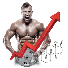 VITAMIN T - Primus Nutritions